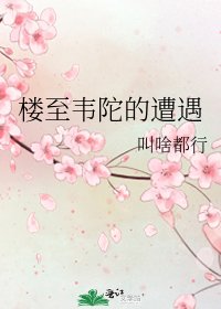 《樓至韋陀的遭遇》