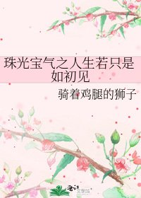 《珠光宝气之人生若只是如初见》