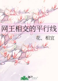 《網王相交的平行線》