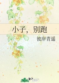《小子,别跑》