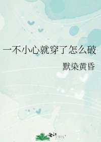 《一不小心就穿了怎麼破》