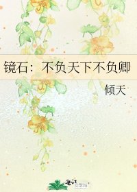 《镜石:不负天下不负卿》