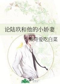 《論陸玖和他的小嬌妻》