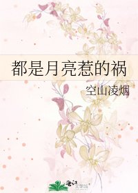 《都是月亮惹的禍》