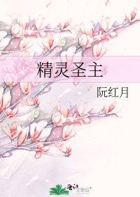 精灵圣主