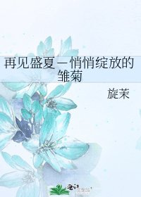 《再見盛夏-悄悄綻放的雛菊》