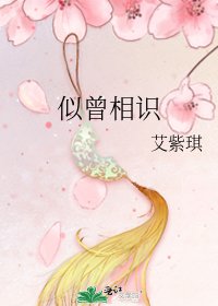 《似曾相識》