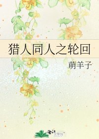 《猎人同人之轮回》