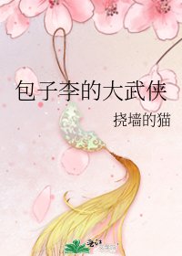 《包子李的大武俠》