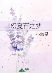 幻夏石之梦