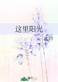 《这里阳光》