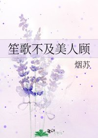《笙歌不及美人顧》