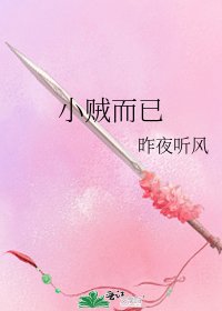 《小賊而已》