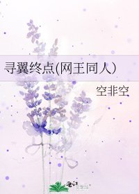 《尋翼終點(網王同人)》
