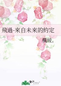 《飛過-來自未來的約定》