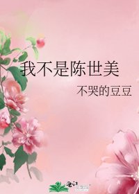《我不是陳世美》