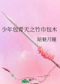 《少年包青天之竹巾包木》