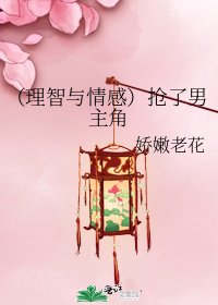 《(理智与情感)抢了男主角》