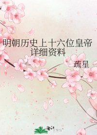 《明朝歷史上十六位皇帝詳細資料》