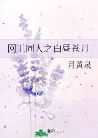 《網王同人之白晝蒼月》