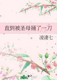 《直到被聖母捅了一刀》