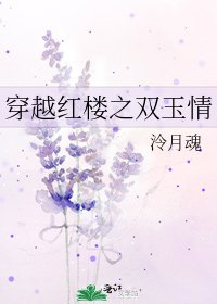 《穿越紅樓之雙玉情》