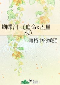 《蝴蝶淚 (追命x孟星魂)》