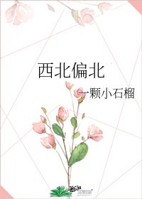 《西北偏北》