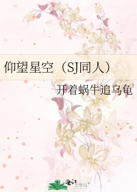 《仰望星空(SJ同人)》
