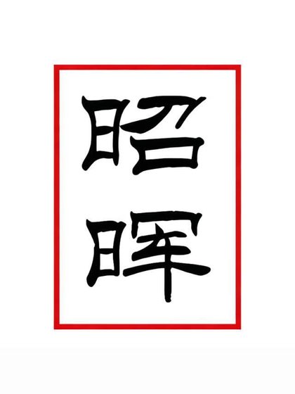 《昭昭向暉》